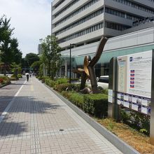 県民会館前の歩道