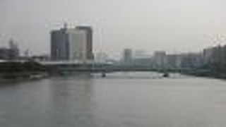 今回も桜橋から