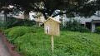 設定だけですが