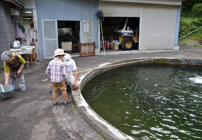 ふじや釣堀