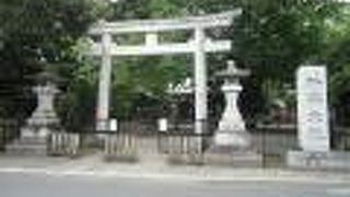 三多摩では大きいミニ富士山があります