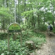 国木田独歩と出会えそうな雰囲気の雑木林