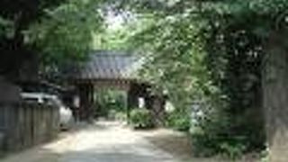 山門を入ってすぐにある大きな大仏に驚かされます