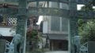 １対の象をあしらった鳥居のような青い門が特徴的