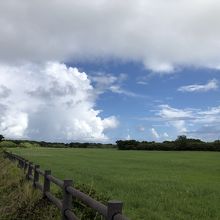 長閑な牧草地が広がります