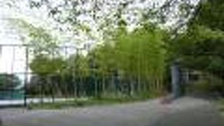 多目的広場ではサッカー教室が行われていました。