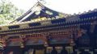 極彩色！いつまでも見ていたい