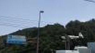 特産品いちじくの販売