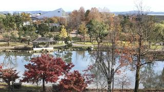 秋もきれいです。