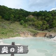 大湯沼のすぐ近く