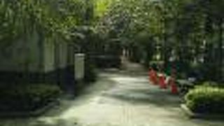 ちょっとした散歩道