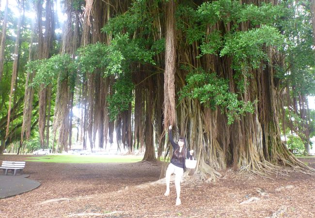 広々とした敷地内をゆっくり散歩できる公園です!!