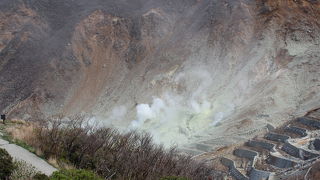 大涌谷で黒たまご