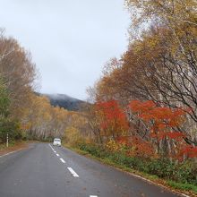 道路脇にも色づいた紅葉が続く