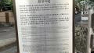 川沿いに続く散歩道