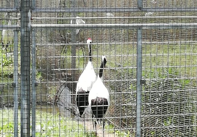 岡山県自然保護センター