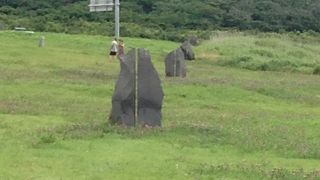 気持ちが良い岬です