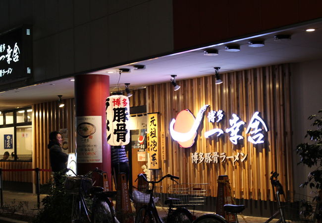 博多とんこつラーメン