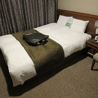 ダブルベッドとしては小さいが、一人で寝るには充分なベッド