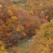 紅葉絶景は森の大橋から