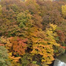 橋の上から　上流側