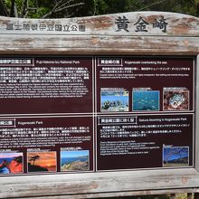 黄金崎海岸について詳しく説明されています。