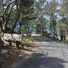 海岸へはこの道を下っていきます。