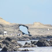 波の浸食によって造られた自然の造形美は素晴らしかった