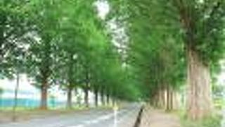 季節ごとに楽しめる