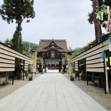 七夕飾りがカラフルでした