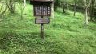 湖尻仙石原探勝路の途中にあります