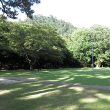 参道の横も、このゆとり