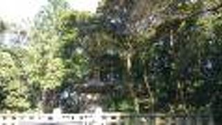 ここが家康のお墓