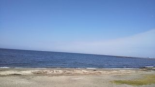 東京湾の水質も良くなってきたと思います