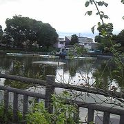 真夏の碑文谷公園