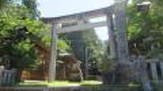 御柱祭も行われます