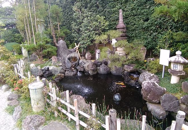 日本庭園がたいへん素晴らしく立派