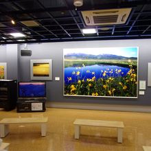 雨竜沼の内容を展示したもの。