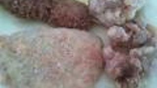 かぶら屋 町田2号店