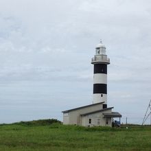 目立つストライプです