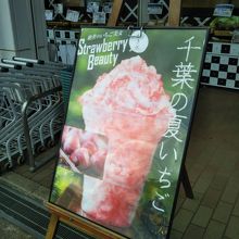 千葉の夏いちご