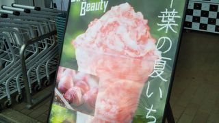 千葉の夏いちご