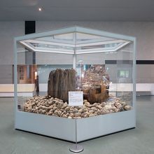 展示室に入った正面に宇豆柱、おぉ~！