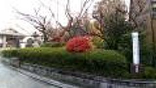 よく手入れされた庭園と美しい建物が多い