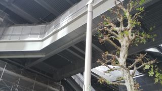 もはや面影は…