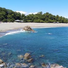 前は桂浜と太平洋が広がっています。
