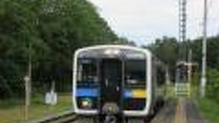 緑のトンネルのがあり、ハイブリッドが走る路線