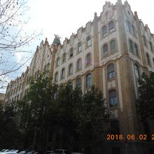 肝心の屋根は先だけしか見えてません