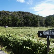 正面が溶岩地帯。