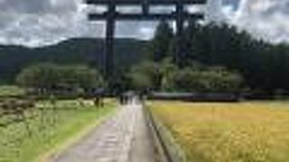 大きな鳥居があります